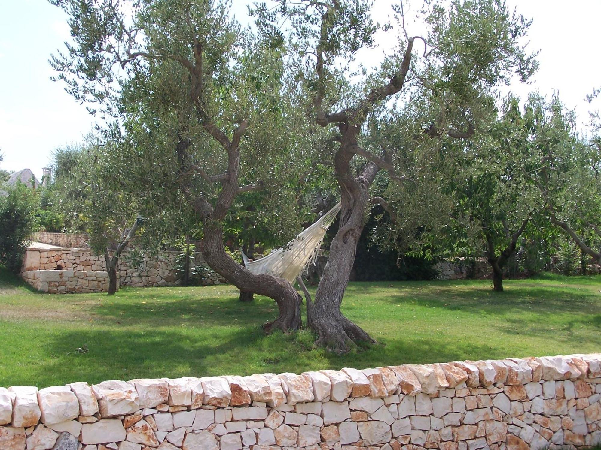 Truddhi Casa E Cucina Di Puglia Aparthotel Locorotondo Exterior foto