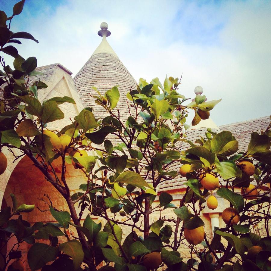 Truddhi Casa E Cucina Di Puglia Aparthotel Locorotondo Exterior foto